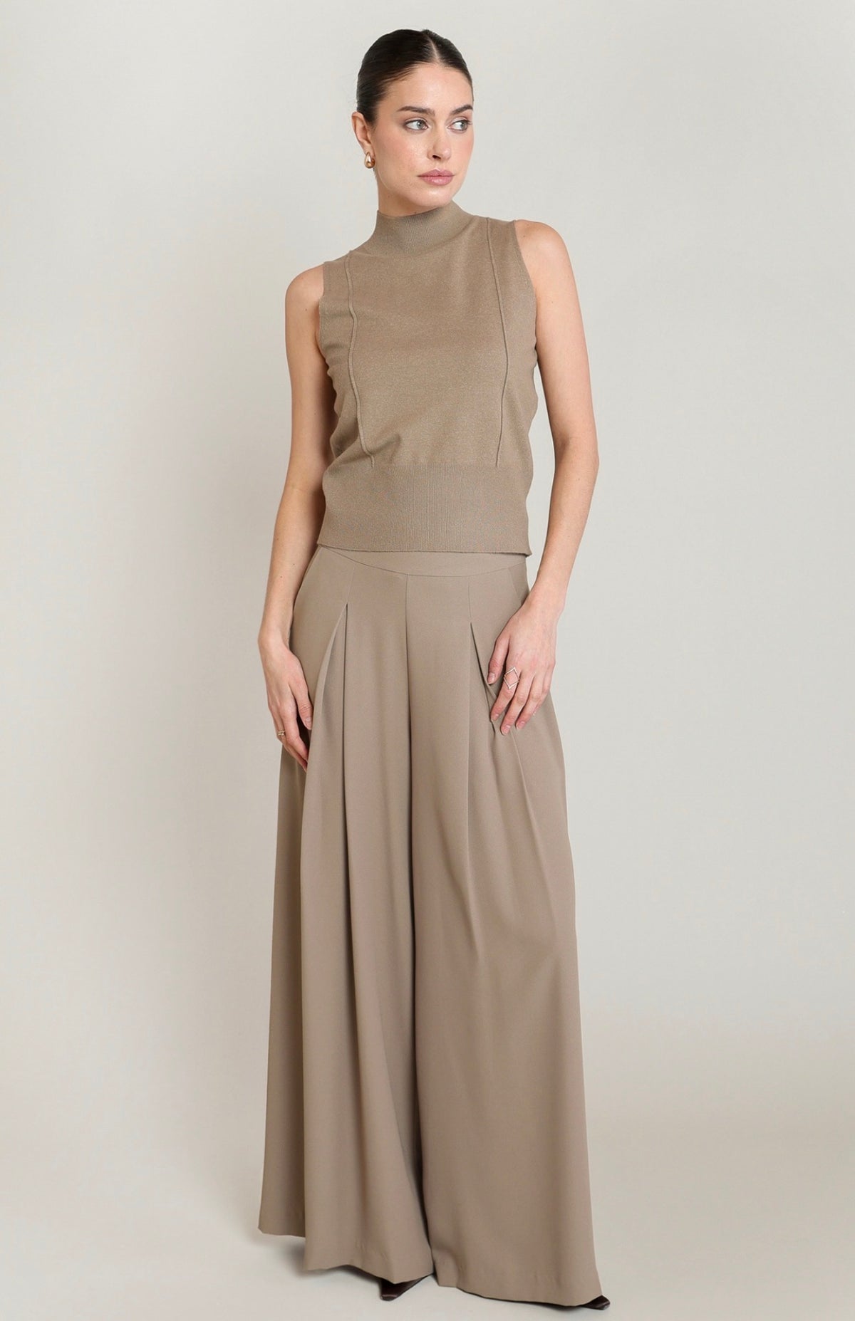 High Waisted Pleated Pants