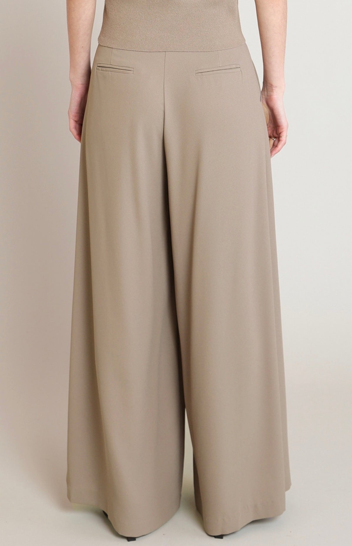 High Waisted Pleated Pants
